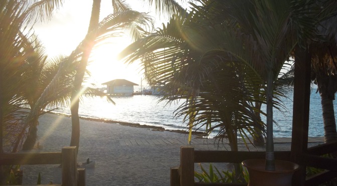 Memories in Belize: Week 1